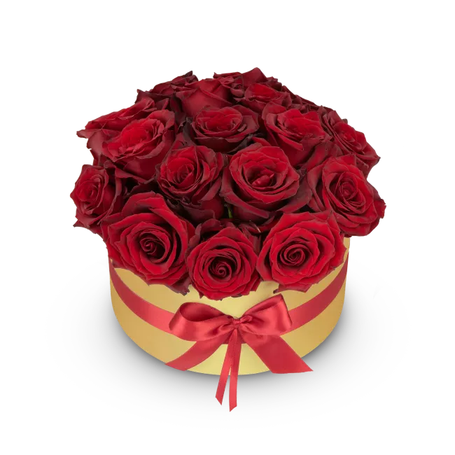 Box červených růží